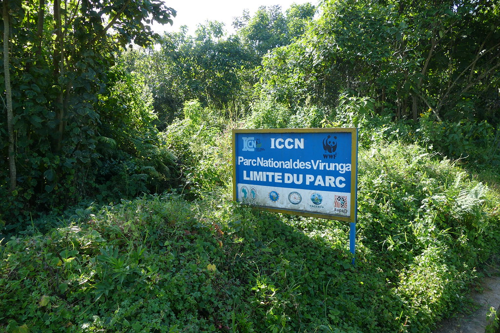 Il Parco del Virunga in Congo, zona ad altissimo rischio per i traveler.