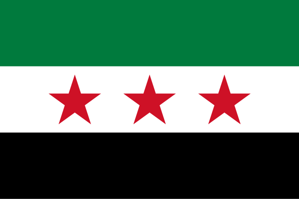 LO SPETTACOLARE COLLASSO DI ASSAD E IL FUTURO DELLA SIRIA
